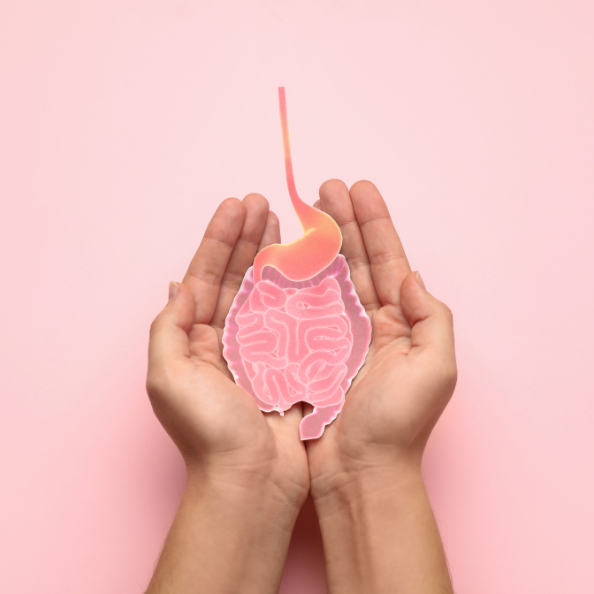 Quels aliments favorisent la digestion ?