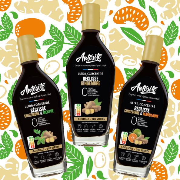 Nos 3 nouveautés gingeresques !