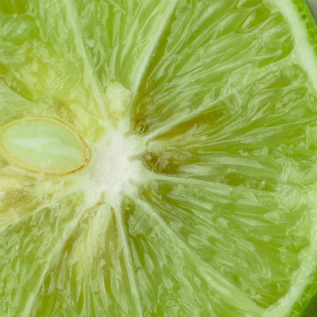 Frozen Yogurt with Lime and Antésite Tangy Freshness