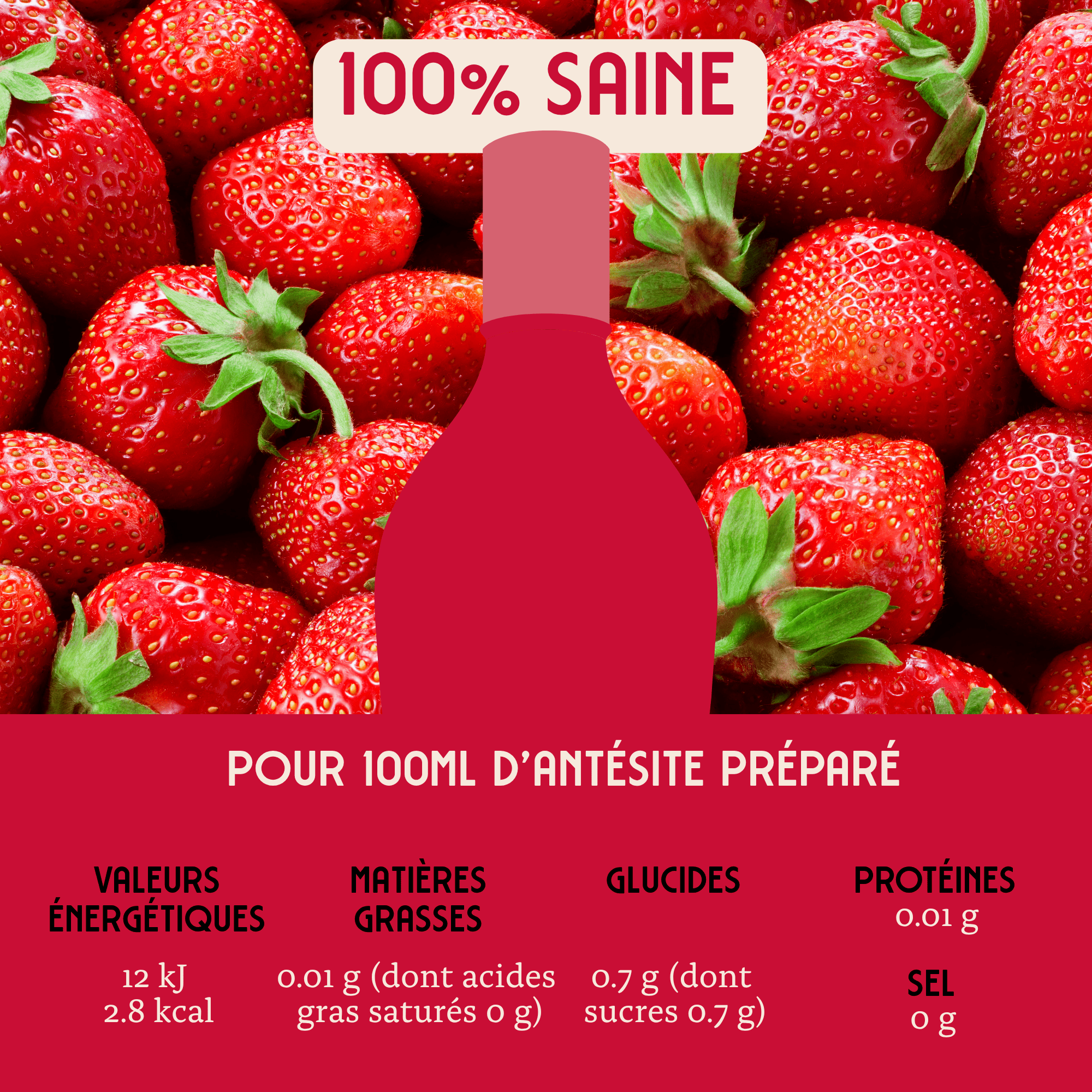 Antésite Concentrés de fruits Fraise menthe concombre