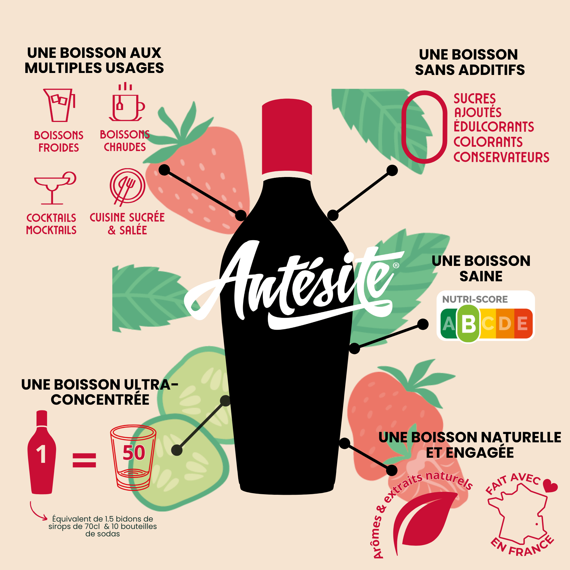 Antésite Concentrés de fruits Fraise menthe concombre