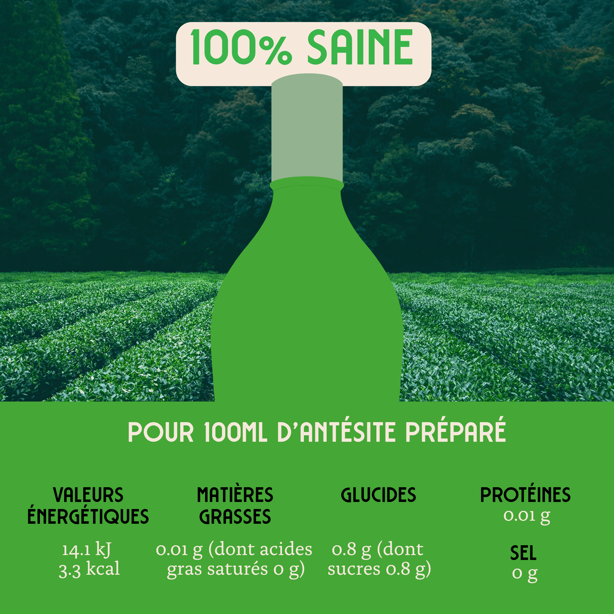 Antésite Concentrés de fruits Thé noir menthe