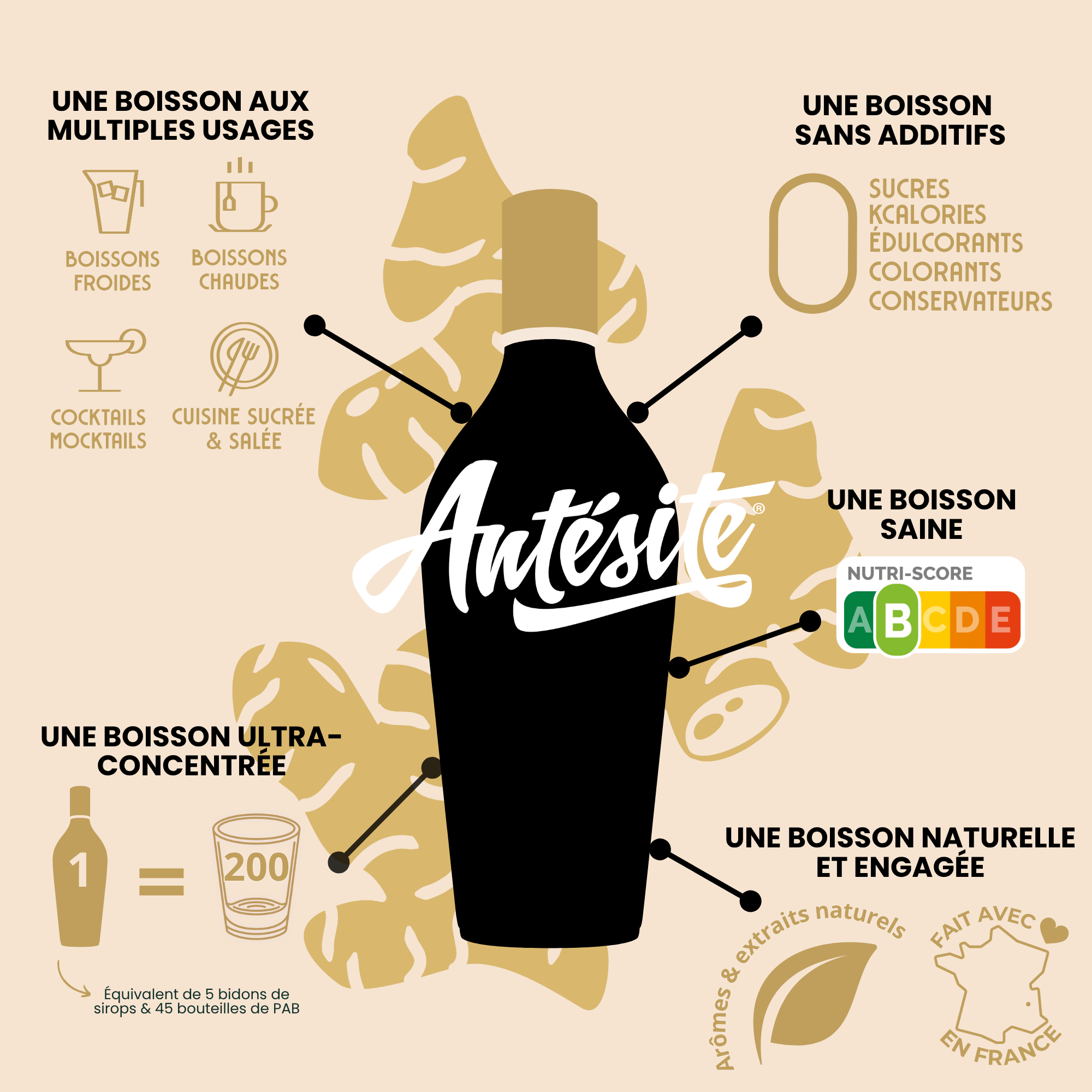 Antésite Ultra-concentrés Réglisse Gingembre