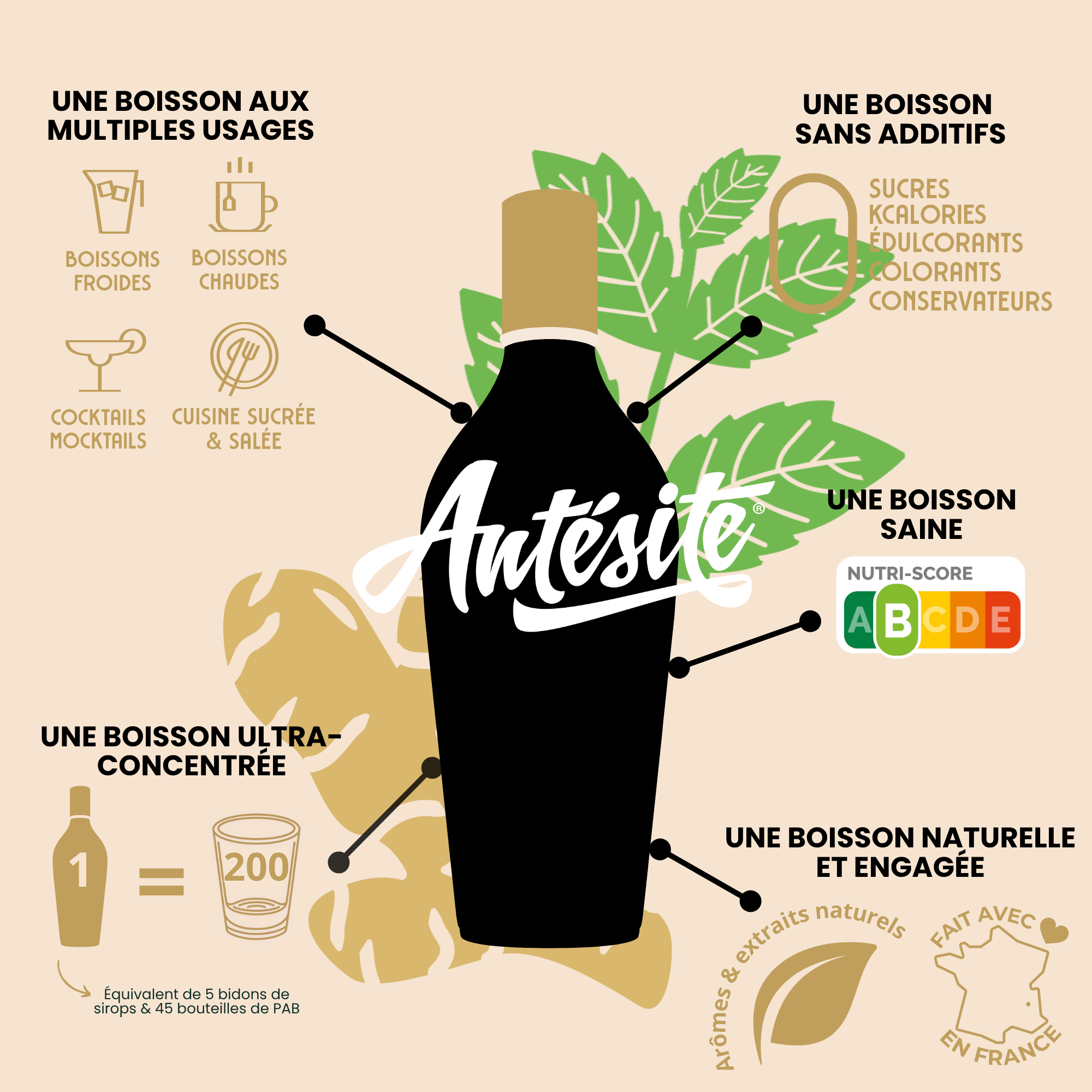 Antésite Ultra-concentrés Réglisse Gingembre & menthe