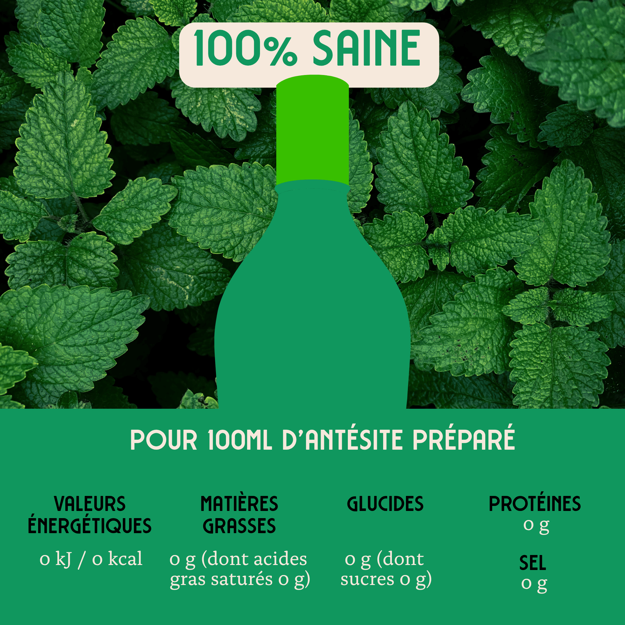 Antésite Ultra-concentrés Réglisse menthe