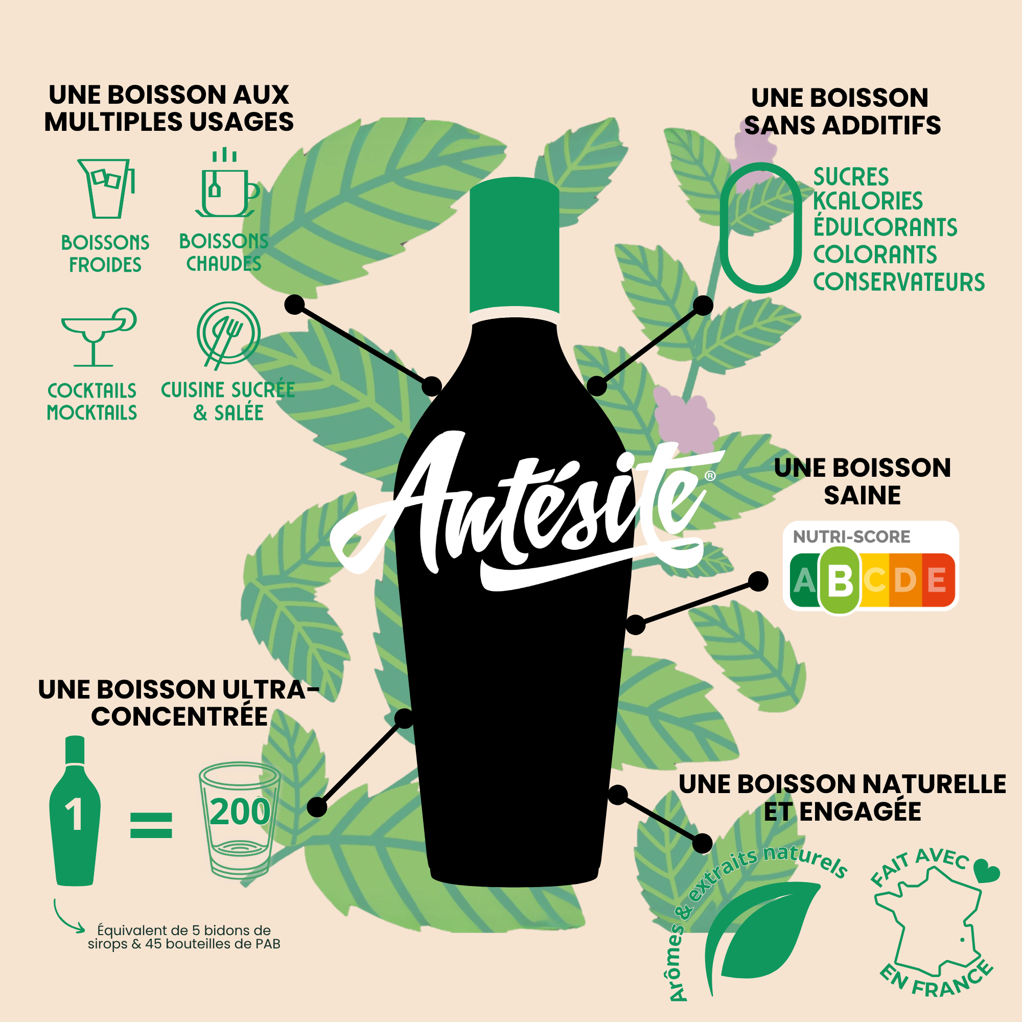 Antésite Ultra-concentrés Réglisse menthe