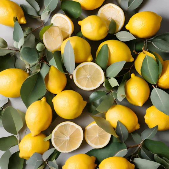 citron jaune pour antésite citron d'italie