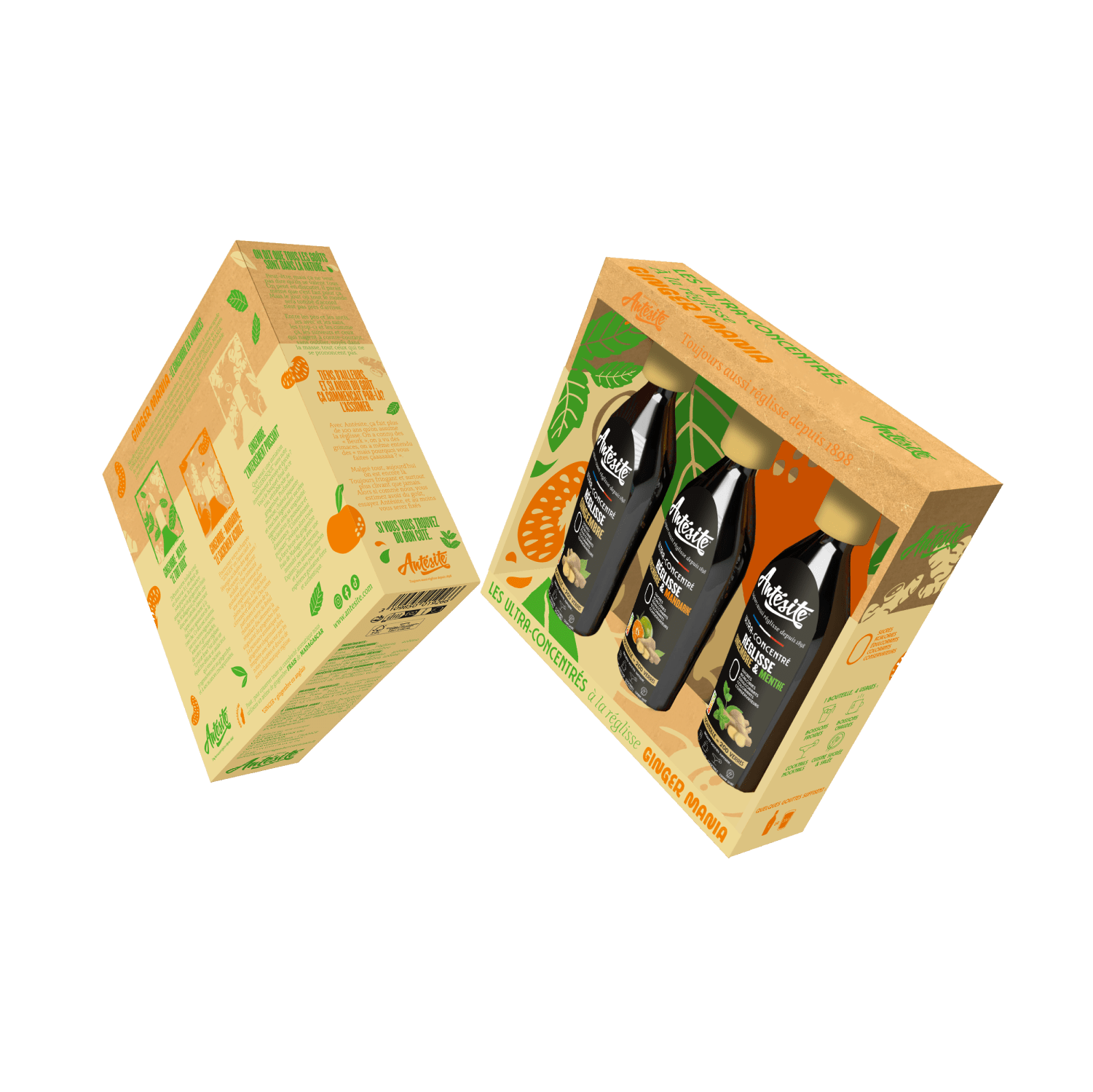 Antésite Coffret Coffret GINGER MANIA !