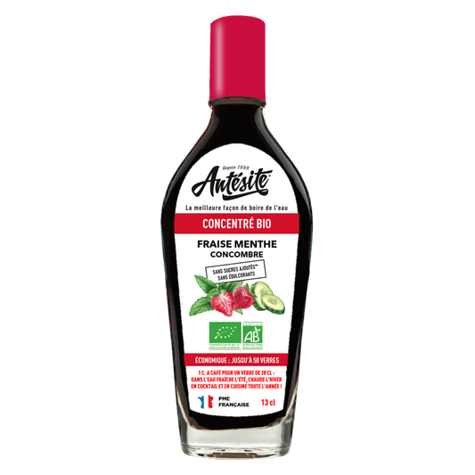 Antésite Concentrés de fruits Fraise menthe concombre