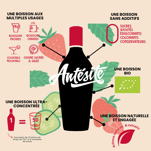Antésite Concentrés de fruits Fraise menthe concombre