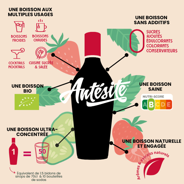 Antésite Concentrés de fruits Fraise menthe concombre