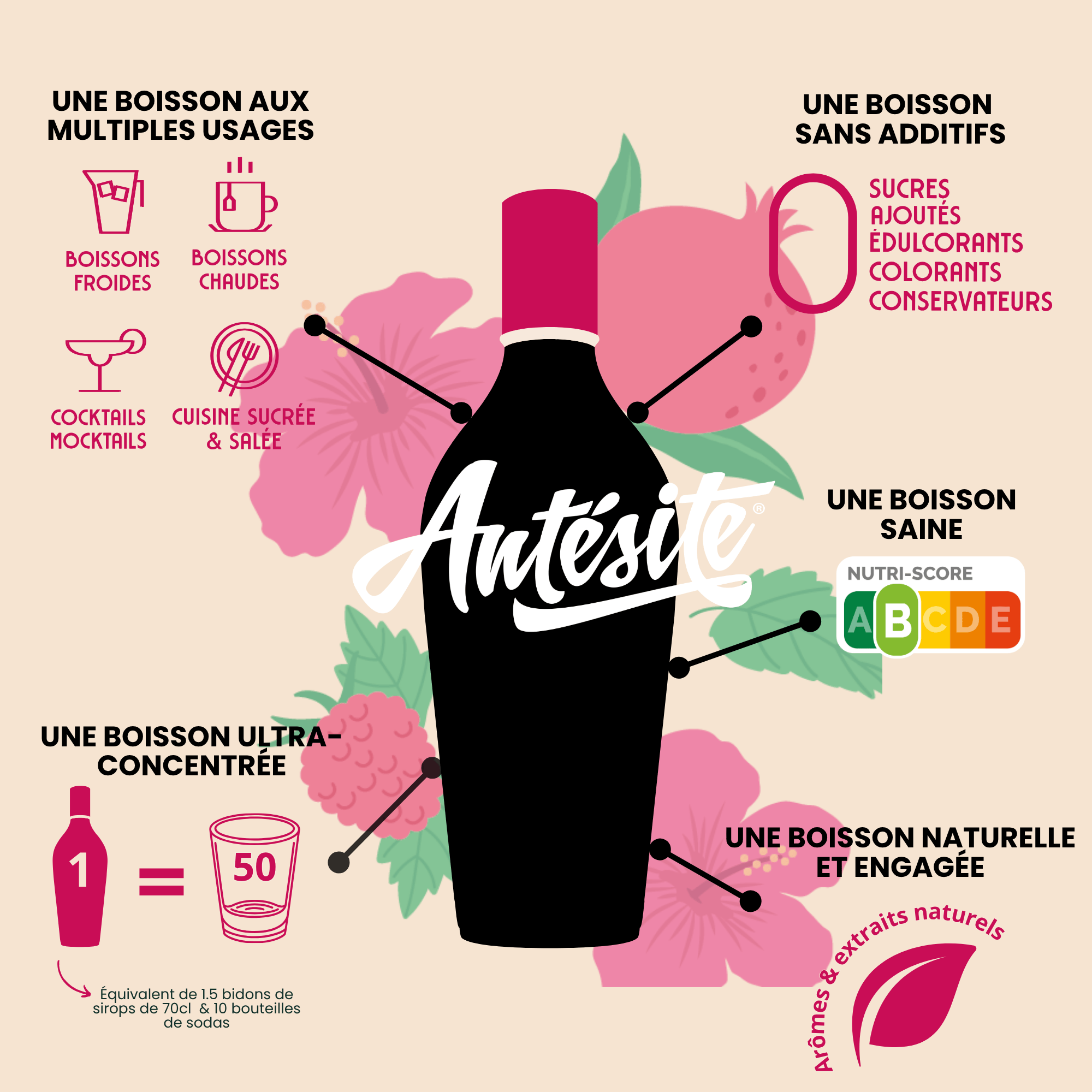 Antésite Concentrés de fruits Hibiscus framboise grenade