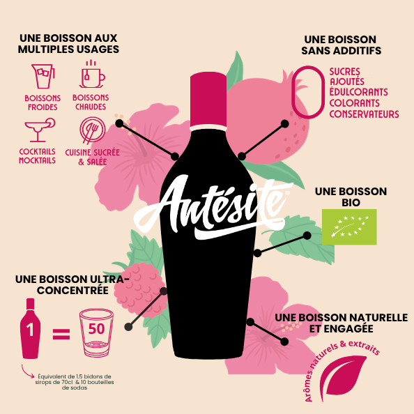 Antésite Concentrés de fruits Hibiscus framboise grenade