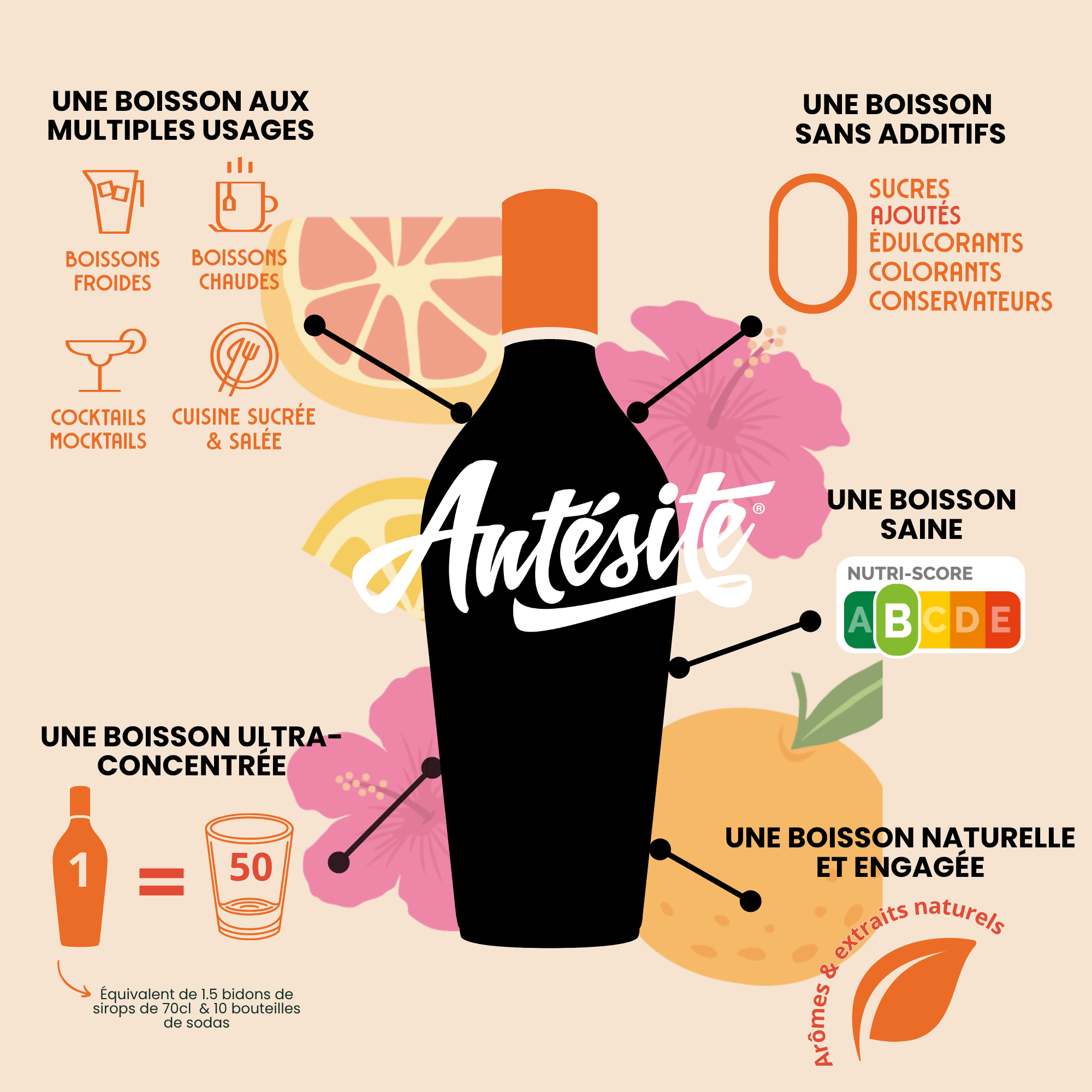 Antésite Concentrés de fruits Hibiscus pamplemousse agrumes