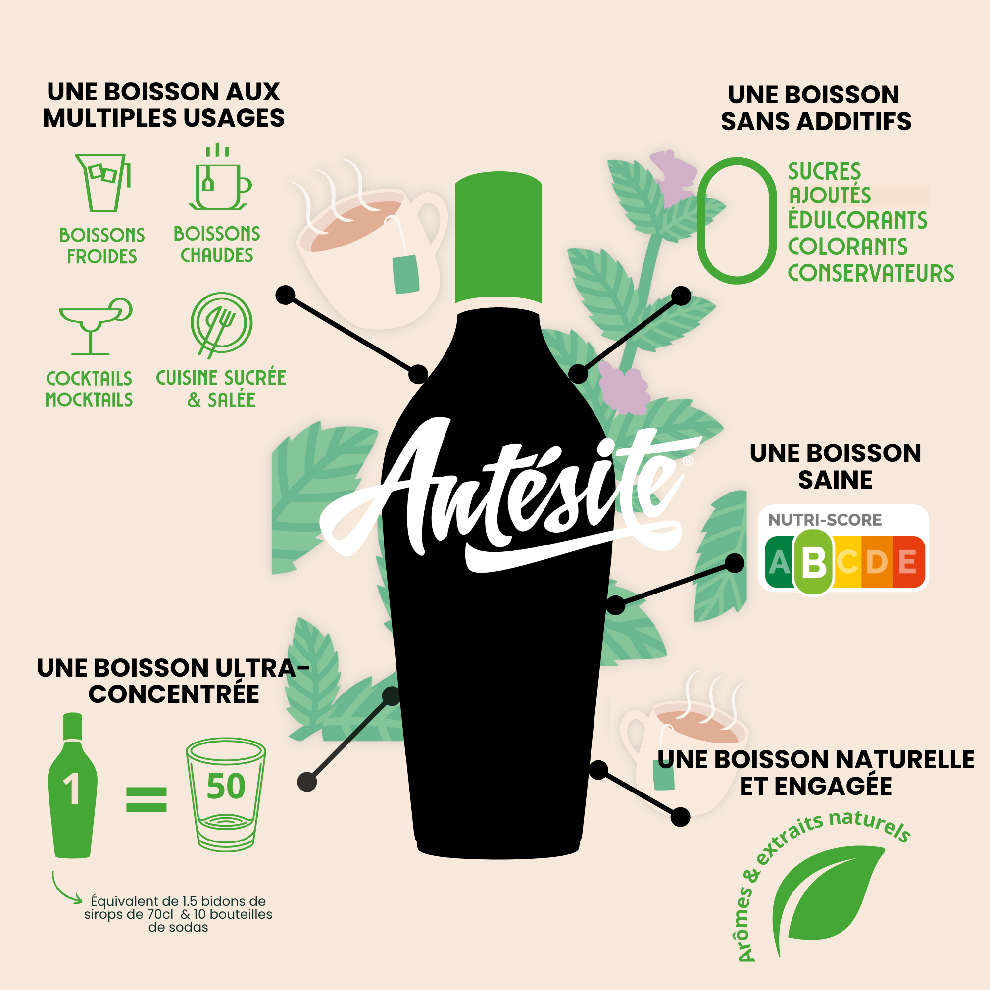 Antésite Concentrés de fruits Thé noir menthe