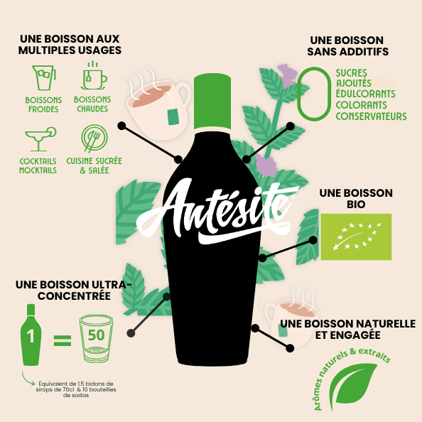 Antésite Concentrés de fruits Thé noir menthe