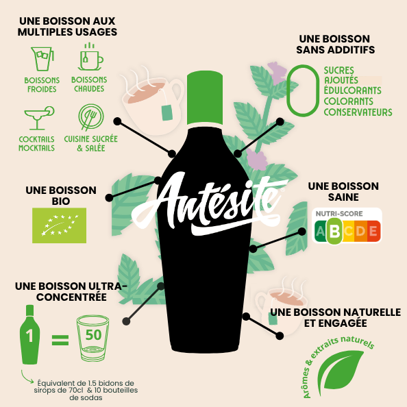 Antésite Concentrés de fruits Thé noir menthe