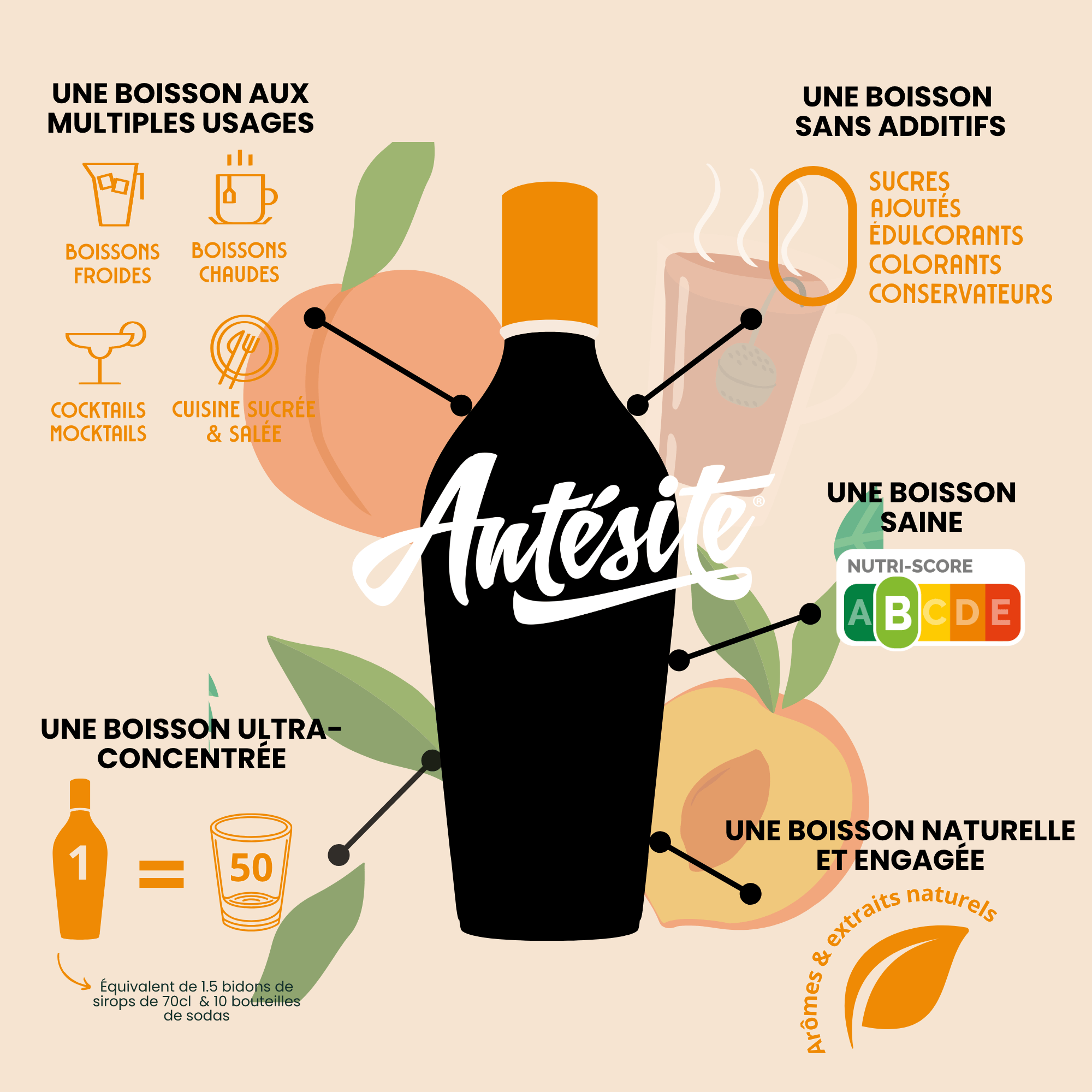Antésite Concentrés de fruits Thé noir pêche
