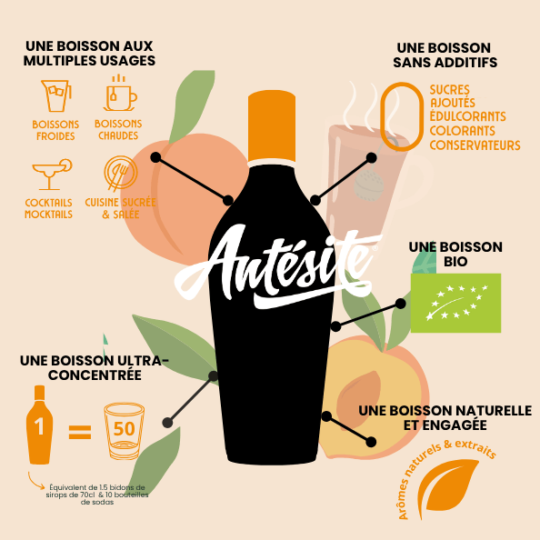 Antésite Concentrés de fruits Thé noir pêche