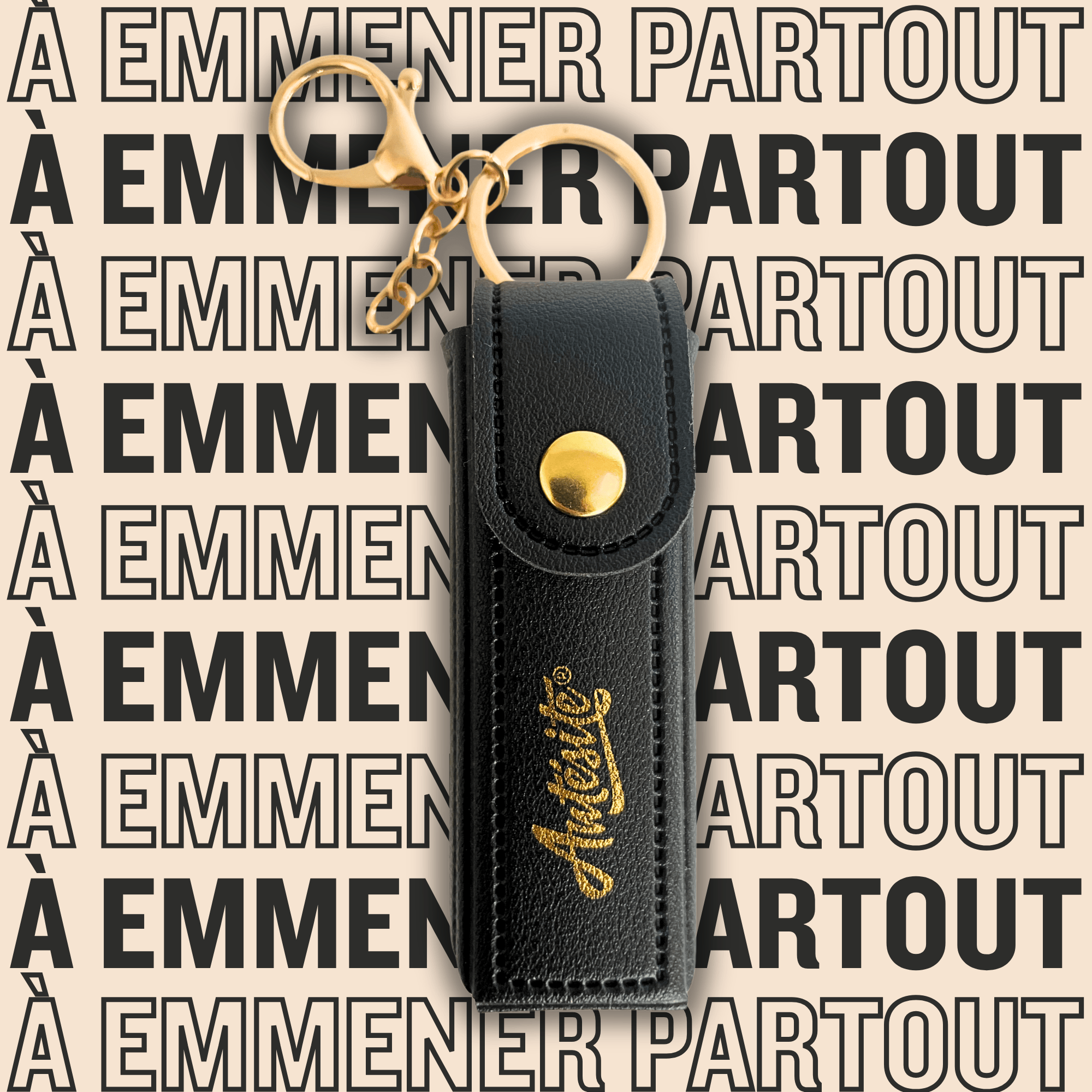 Antésite ETUI MINI FORMAT NOIR