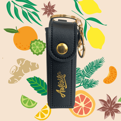 ETUI MINI FORMAT NOIR