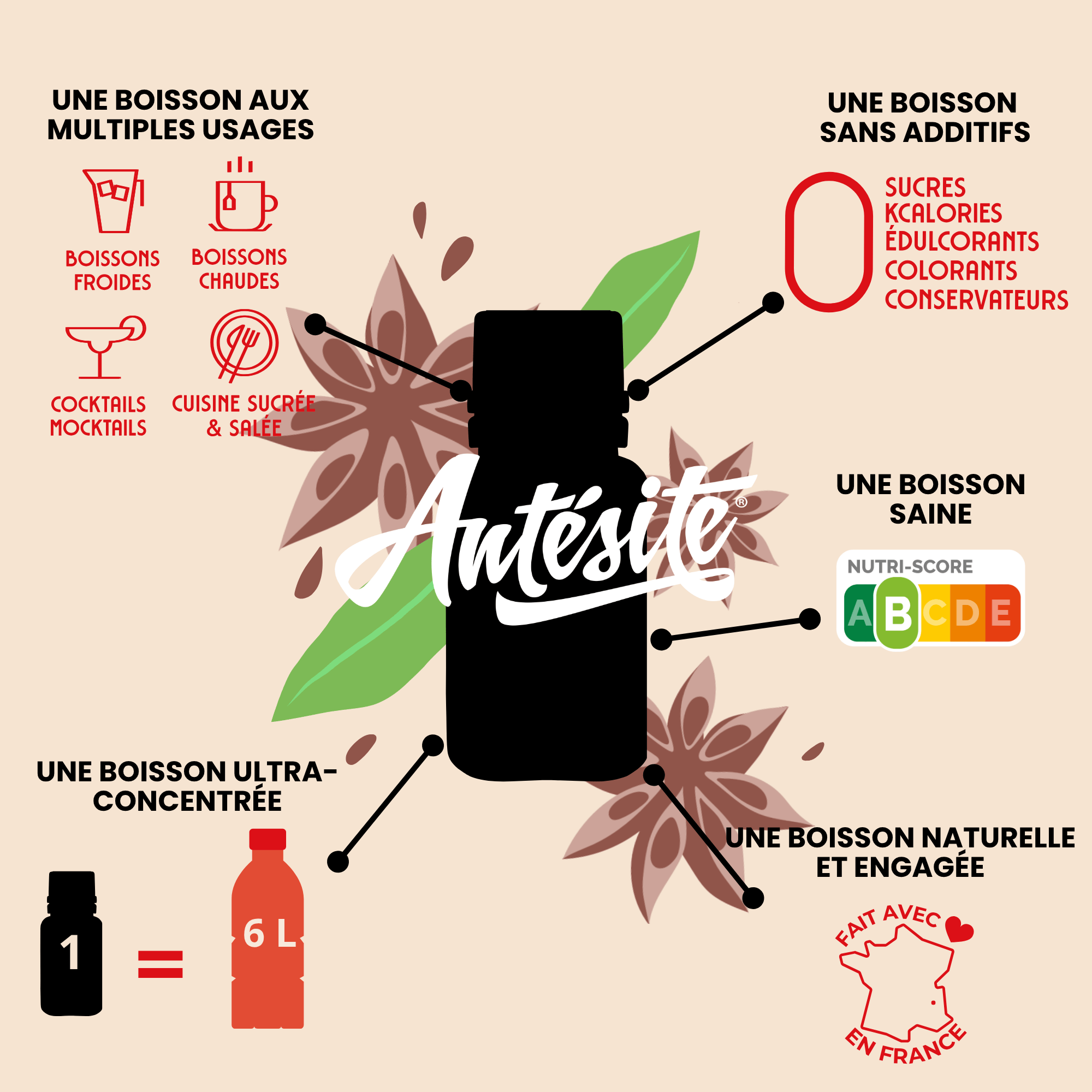 Antésite Ultra-concentrés RÉGLISSE ANIS MINI FORMAT