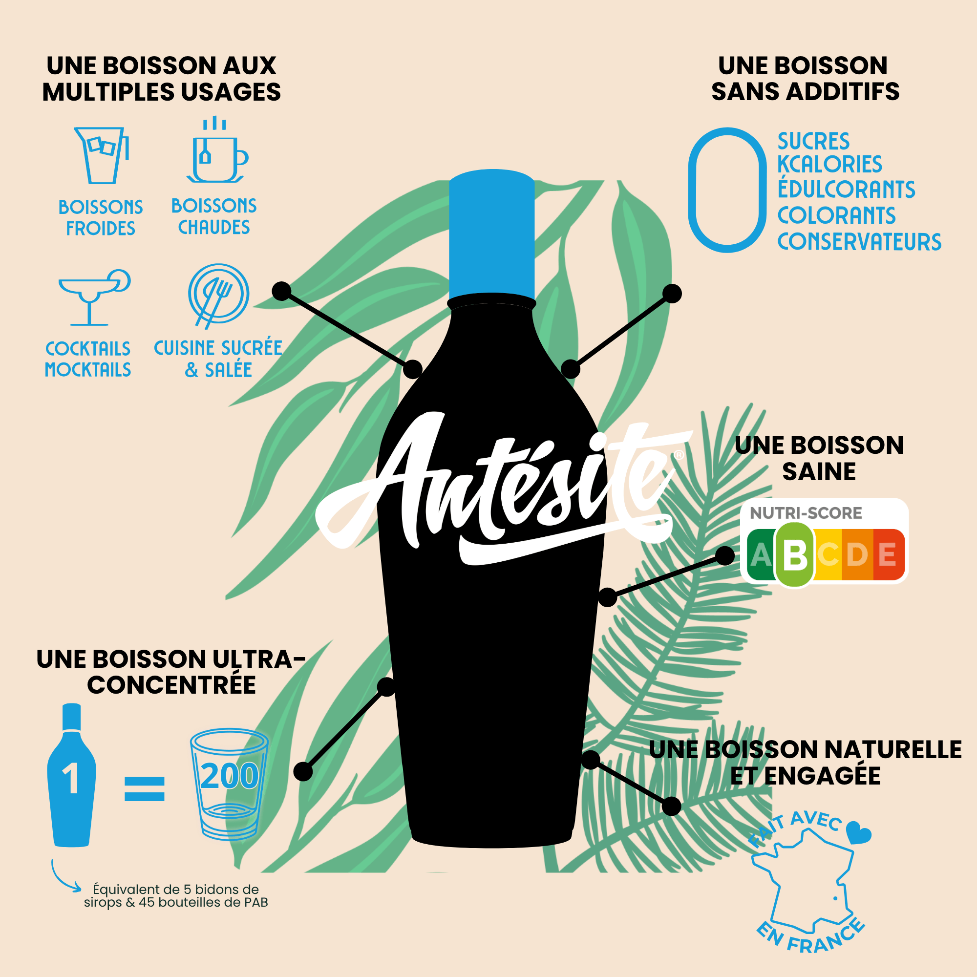 Antésite Ultra-concentrés Réglisse eucalyptus pin