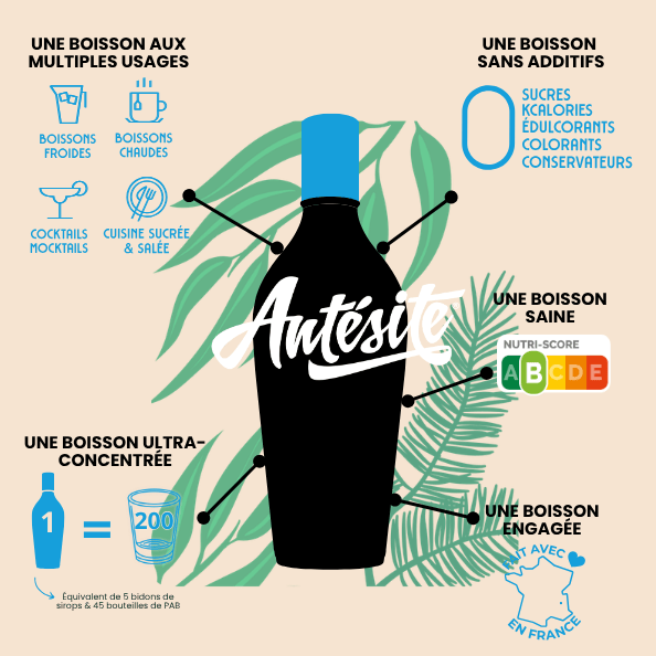 Antésite Ultra-concentrés Réglisse eucalyptus pin