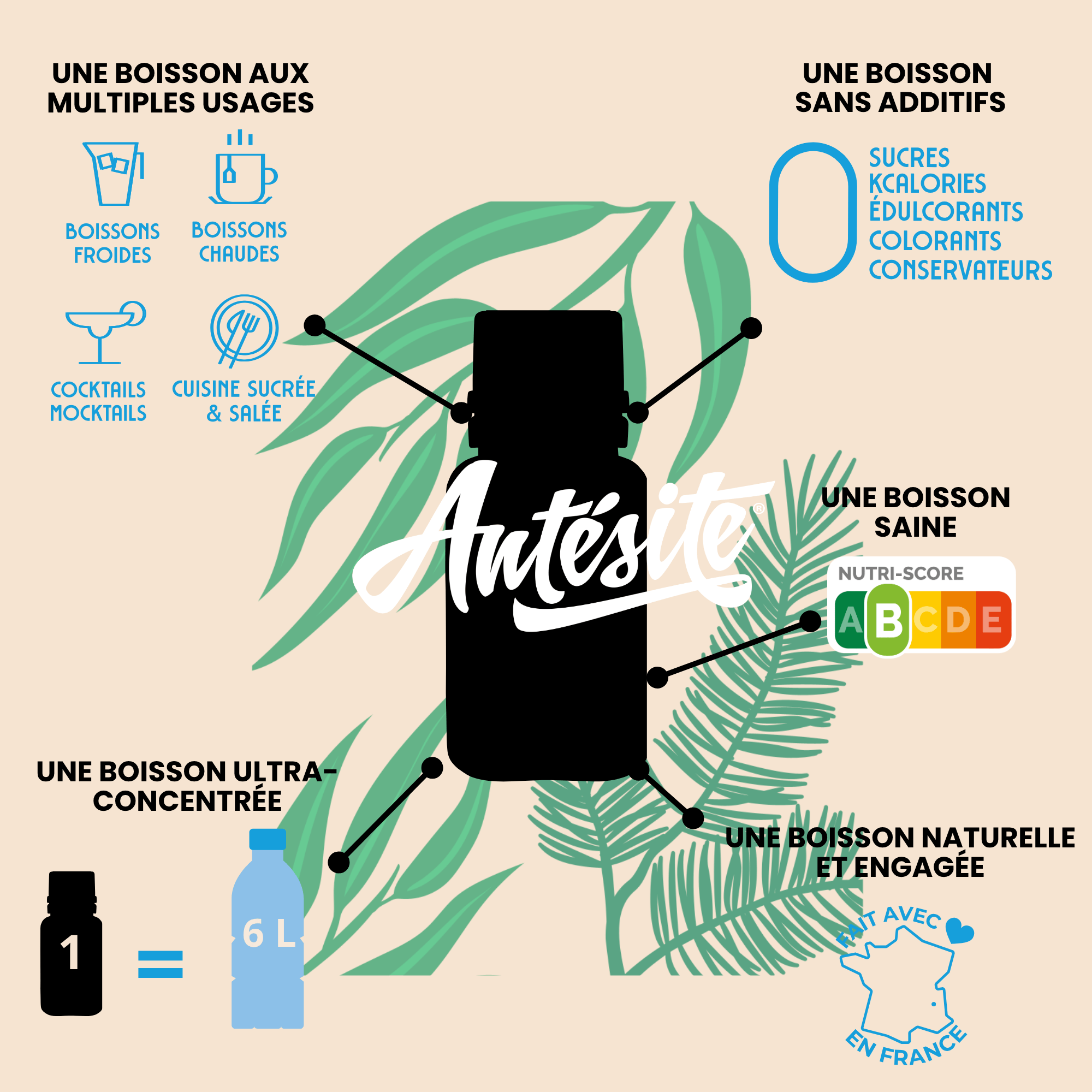 Antésite Ultra-concentrés Réglisse eucalyptus pin mini format