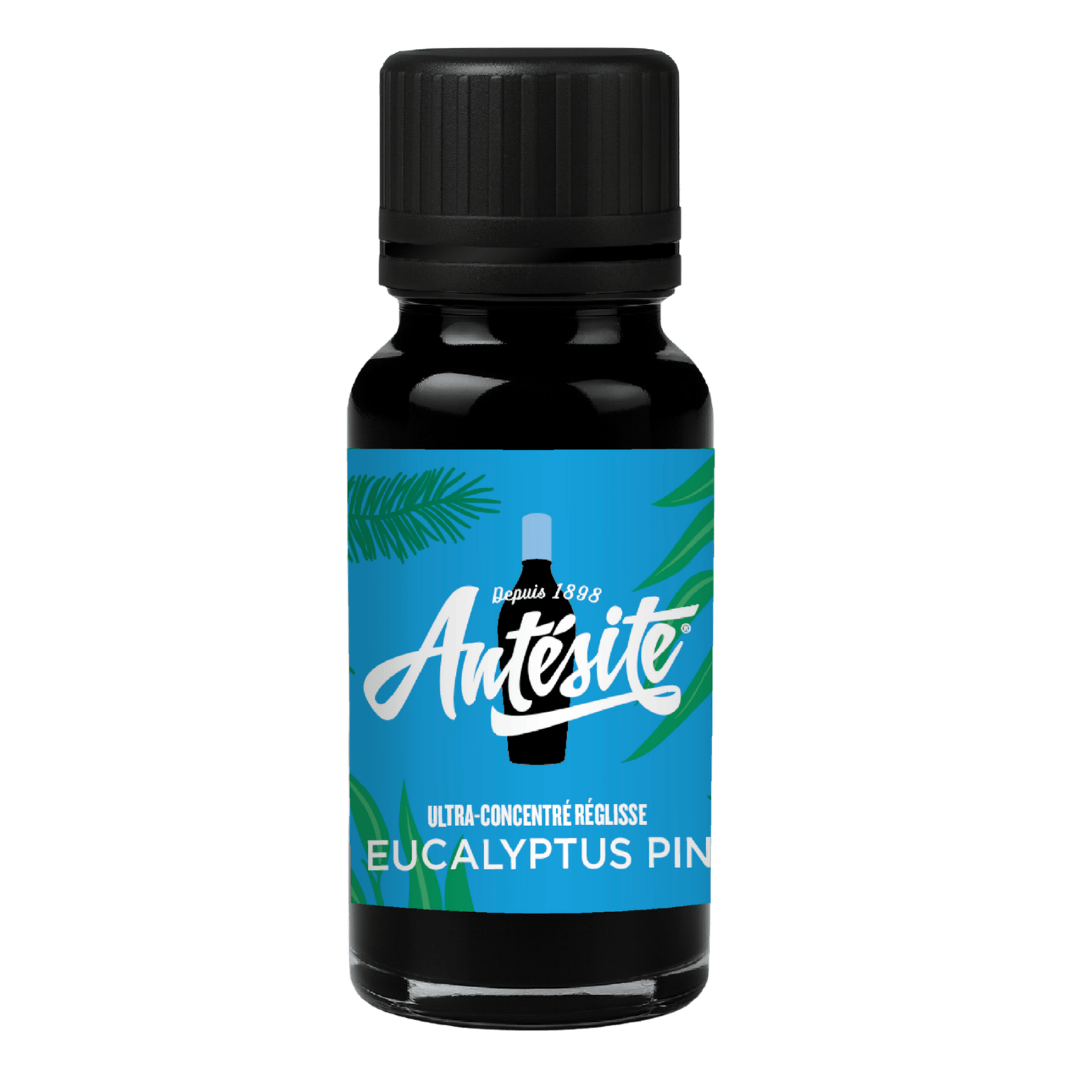 Antésite Ultra-concentrés Réglisse eucalyptus pin mini format