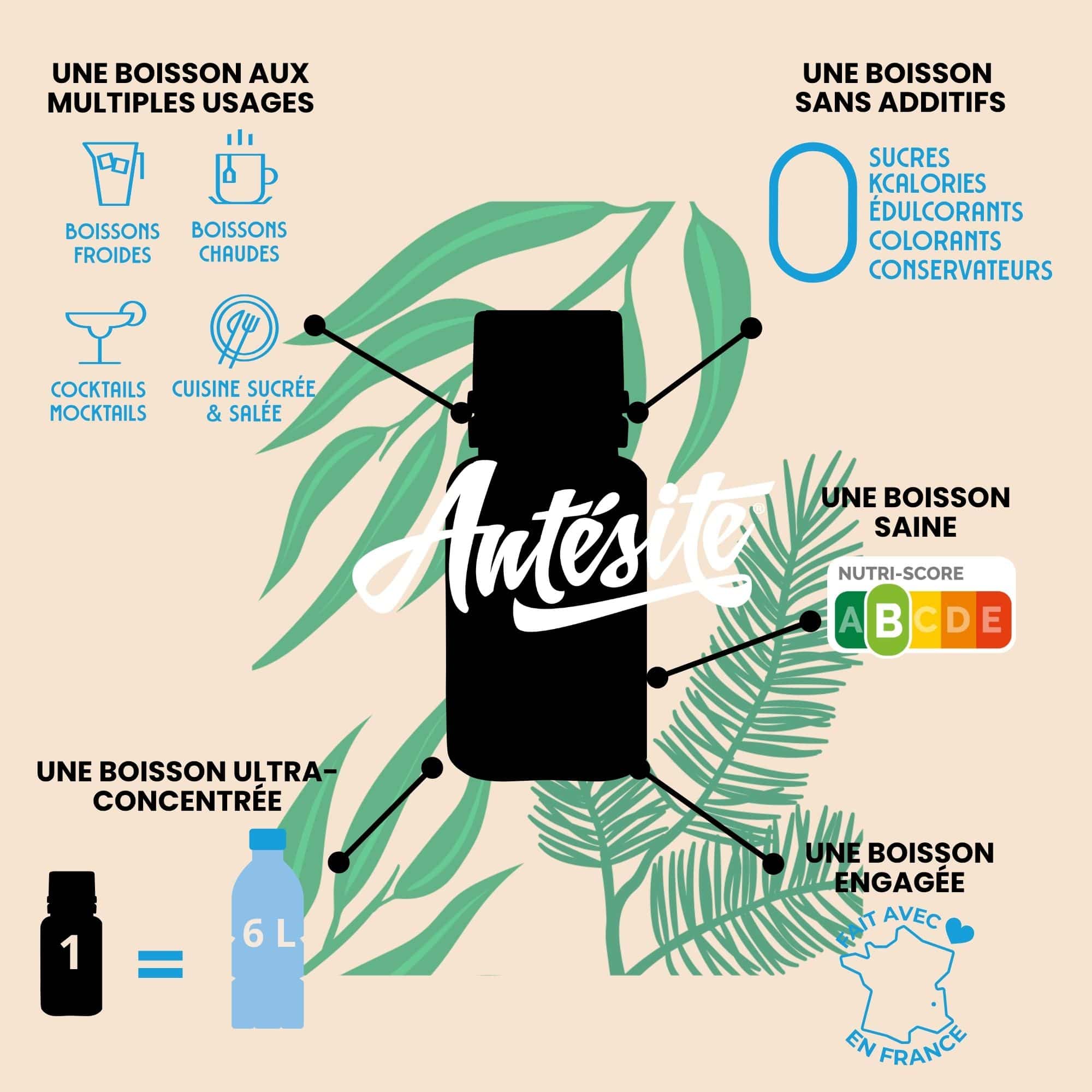 Antésite Ultra-concentrés Réglisse eucalyptus pin mini format