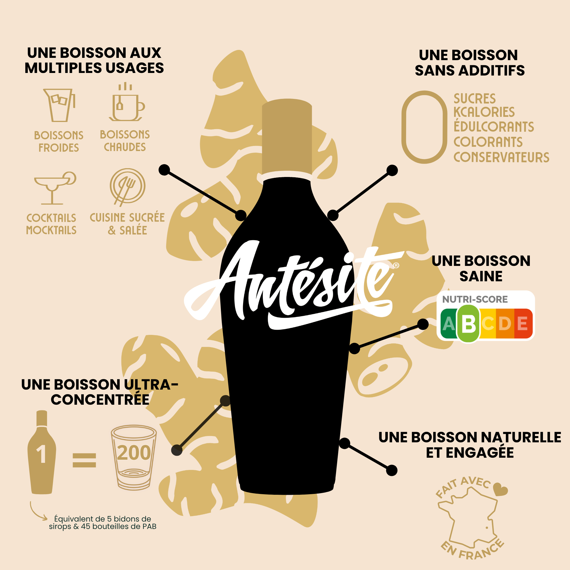 Antésite Ultra-concentrés Réglisse Gingembre