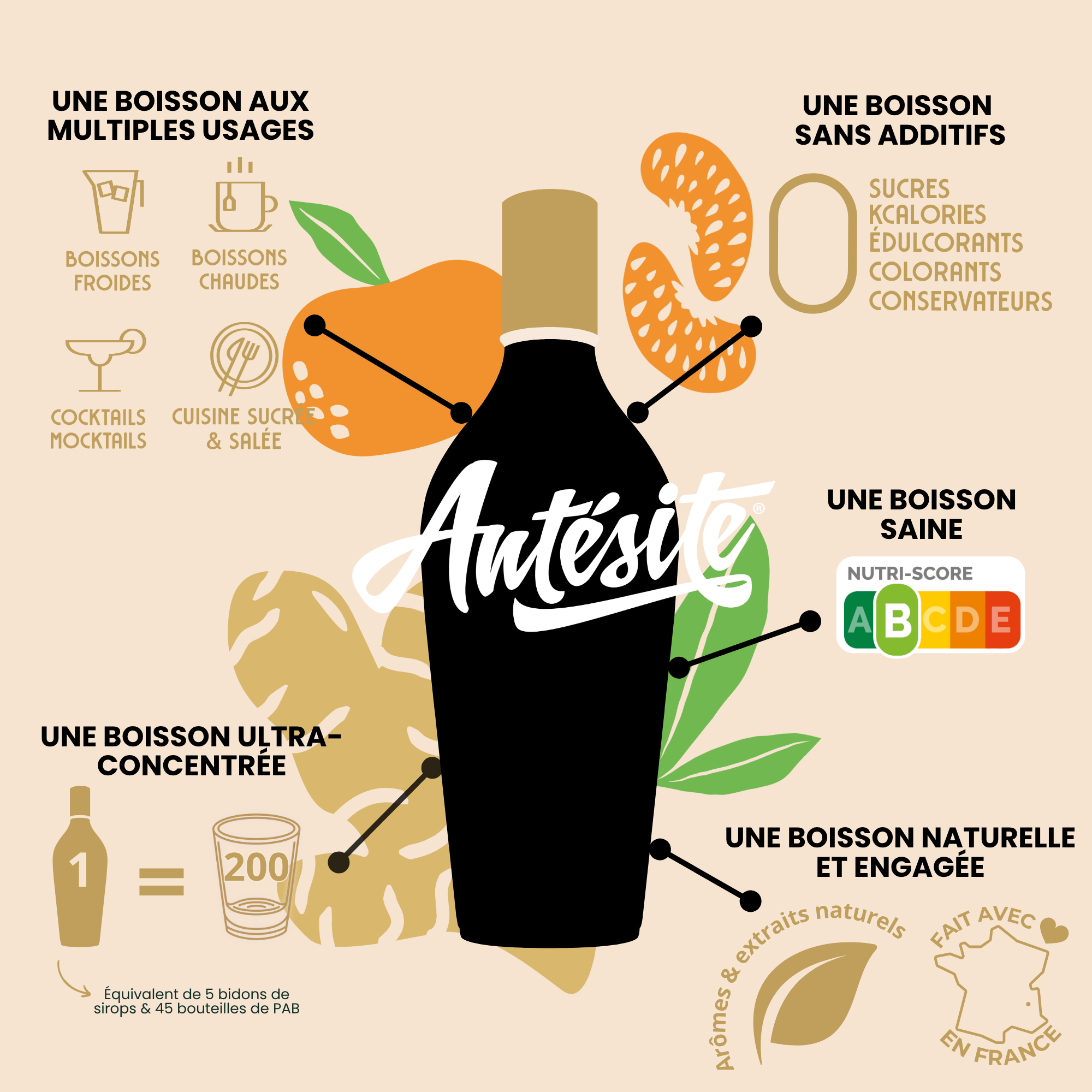 Antésite Ultra-concentrés Réglisse Gingembre & mandarine