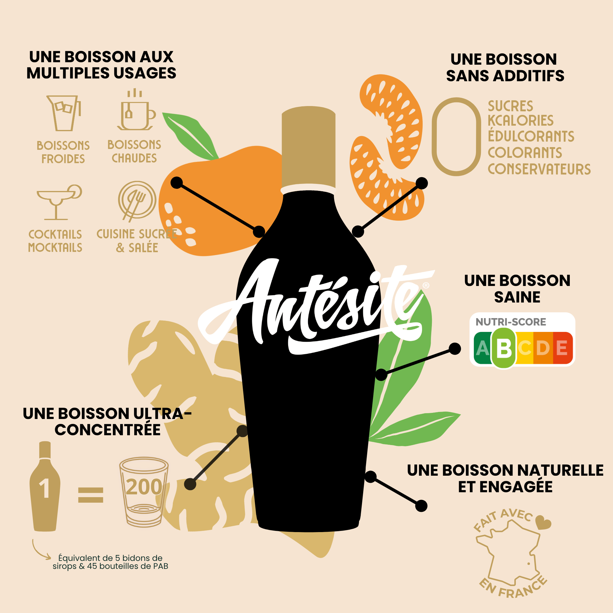 Antésite Ultra-concentrés Réglisse Gingembre & mandarine