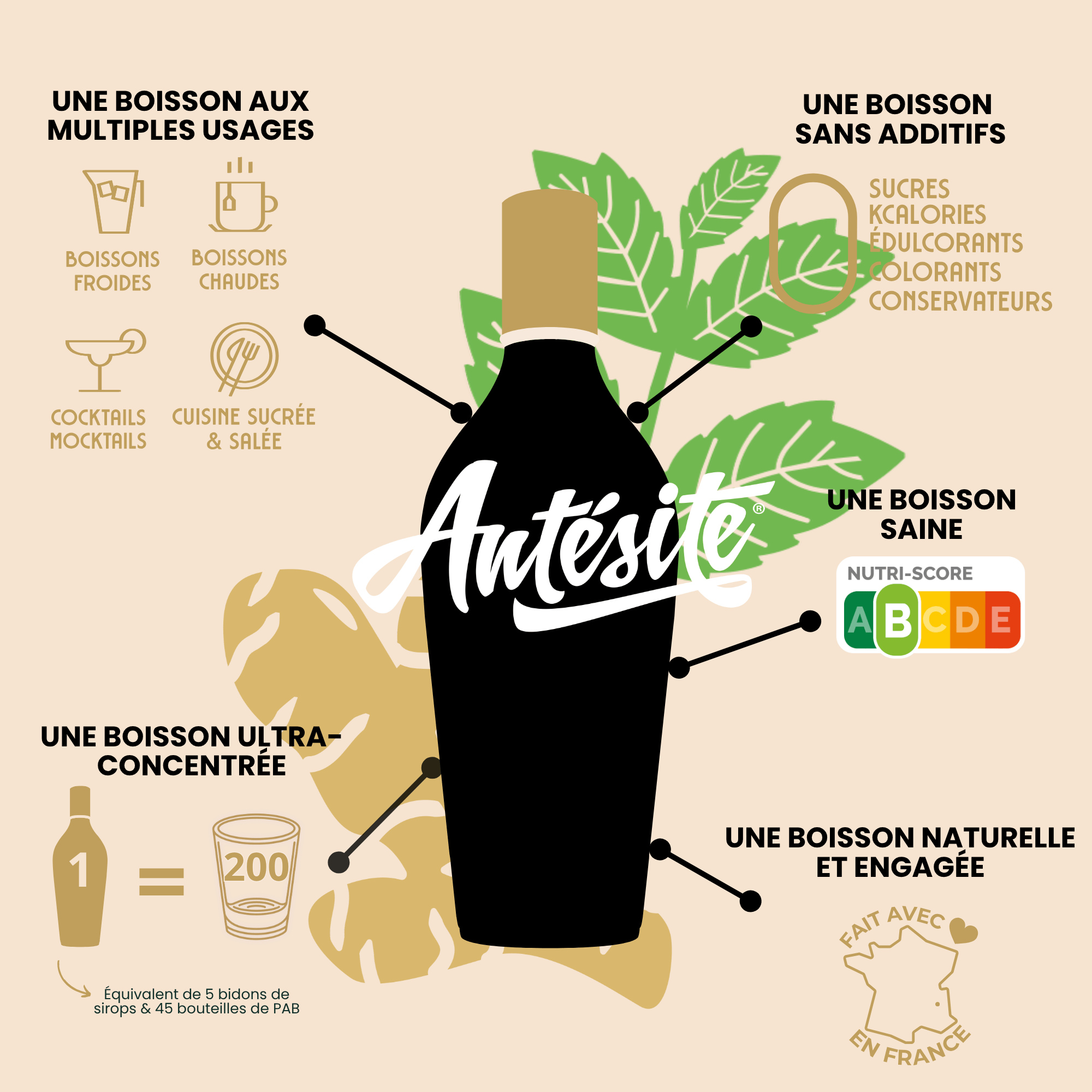 Antésite Ultra-concentrés Réglisse Gingembre & menthe