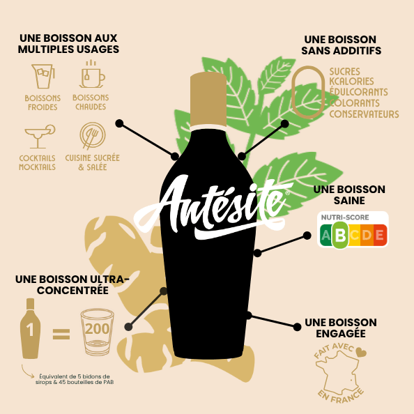 Antésite Ultra-concentrés Réglisse Gingembre & menthe