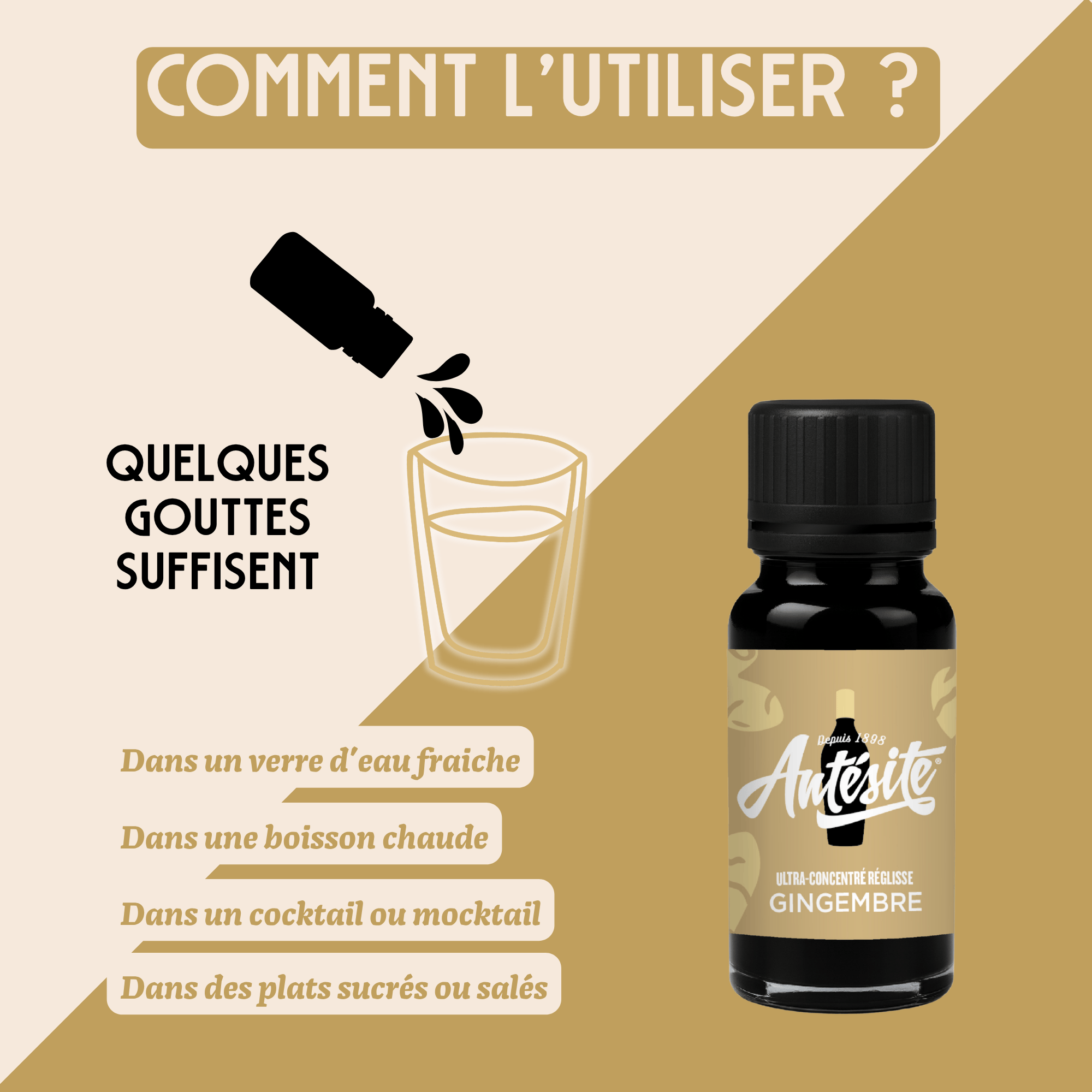 Antésite Ultra-concentrés Réglisse Gingembre mini format