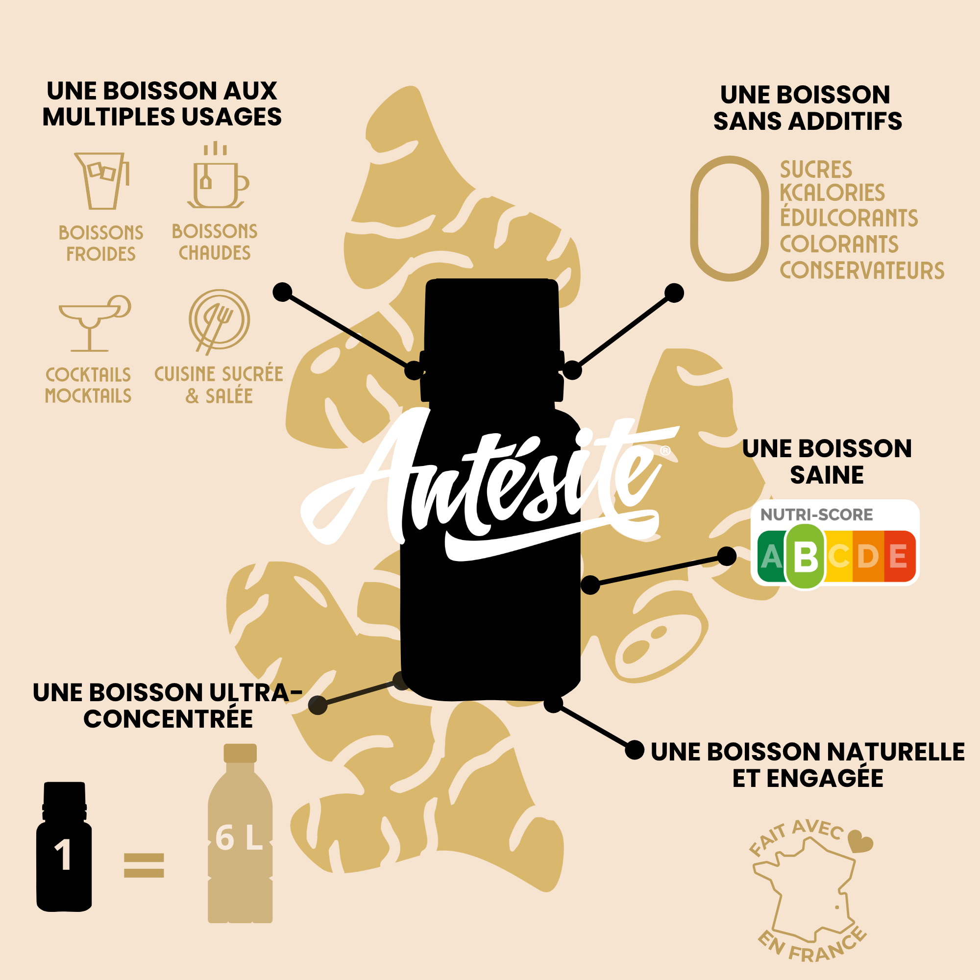 Antésite Ultra-concentrés Réglisse Gingembre mini format