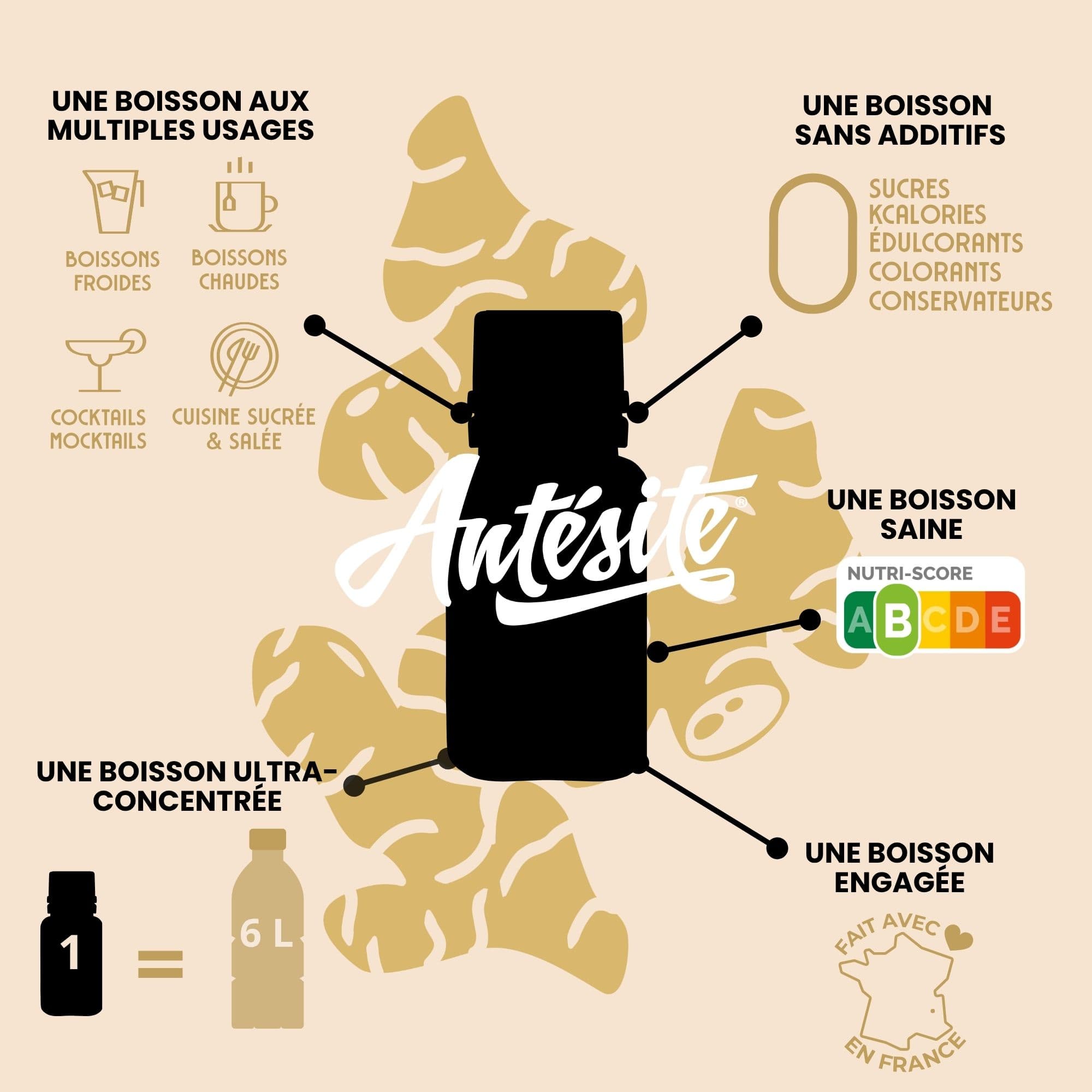 Antésite Ultra-concentrés Réglisse gingembre mini format