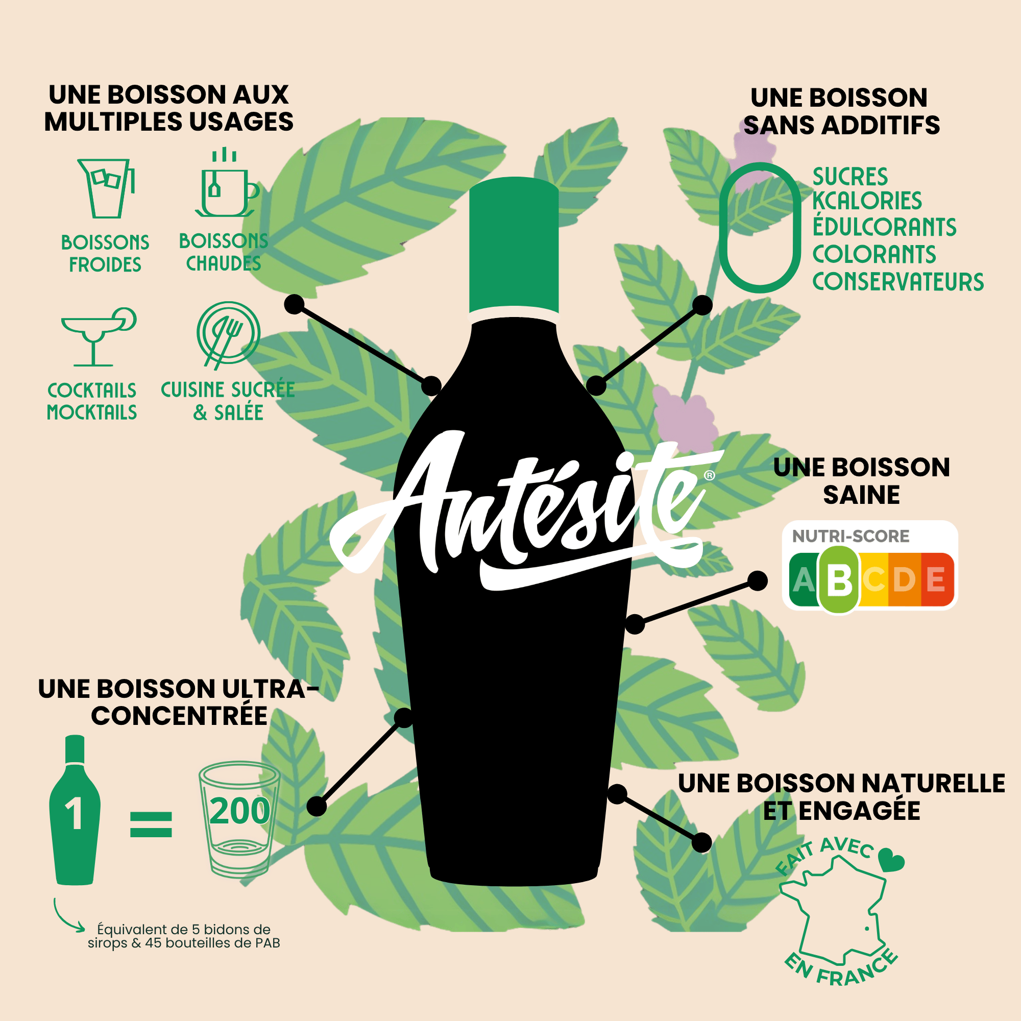 Antésite Ultra-concentrés Réglisse menthe