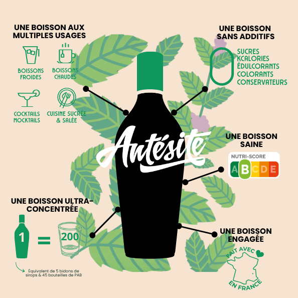 Antésite Ultra-concentrés Réglisse menthe