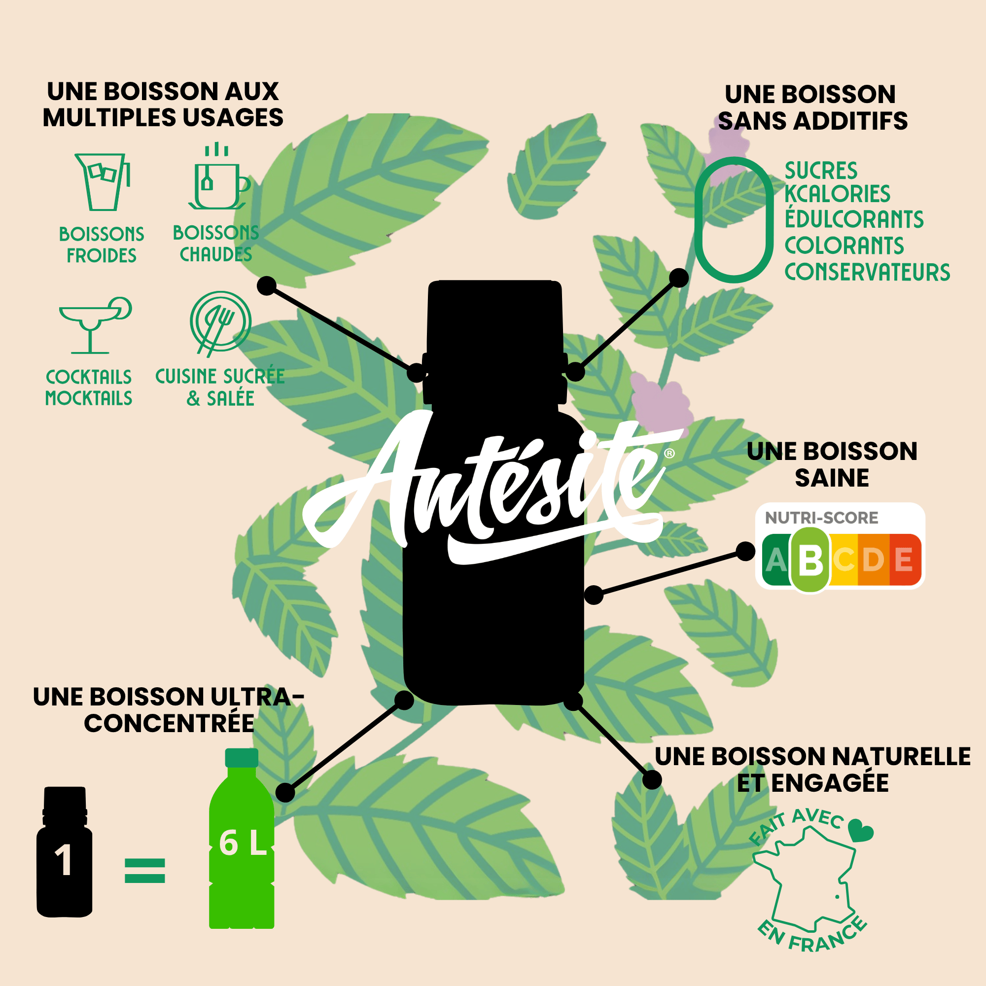 Antésite Ultra-concentrés Réglisse menthe mini format