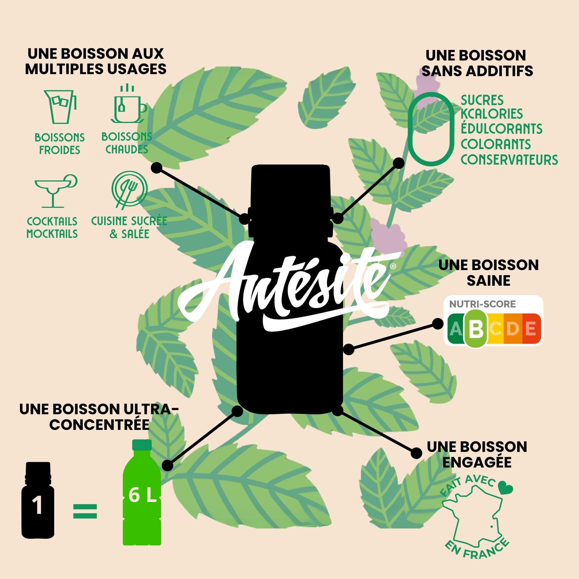 Antésite Ultra-concentrés Réglisse menthe mini format